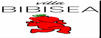bibisea badge